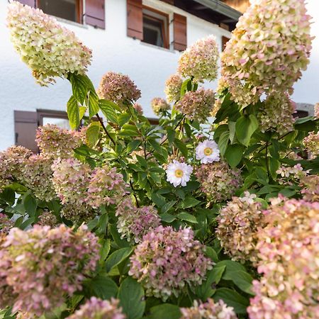Ferienwohnung Alpenglueck Marktschellenberg Esterno foto