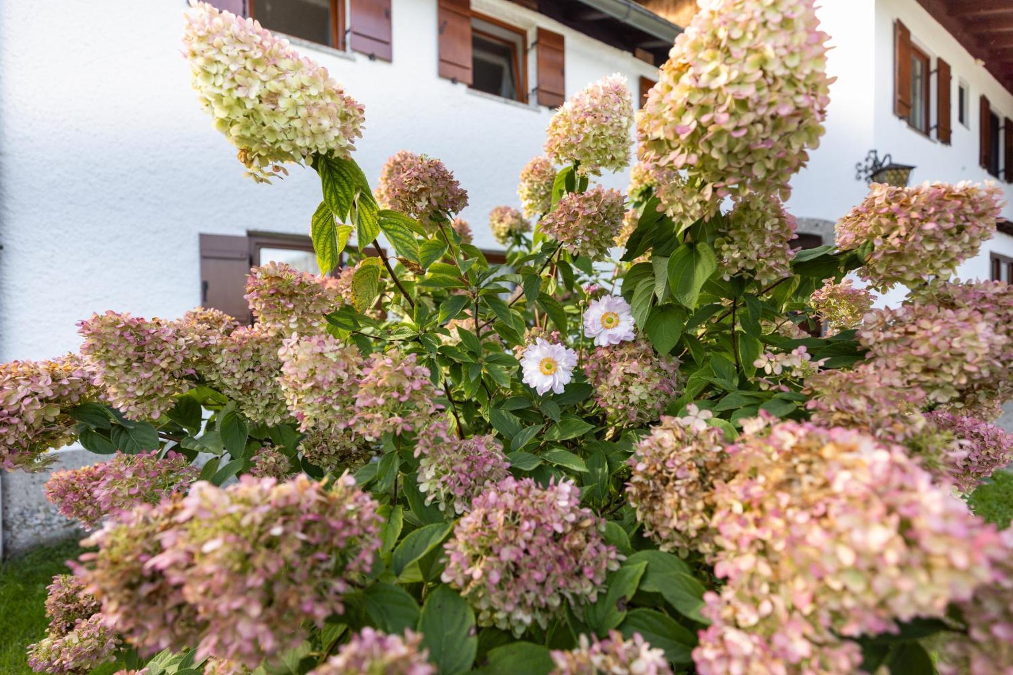 Ferienwohnung Alpenglueck Marktschellenberg Esterno foto