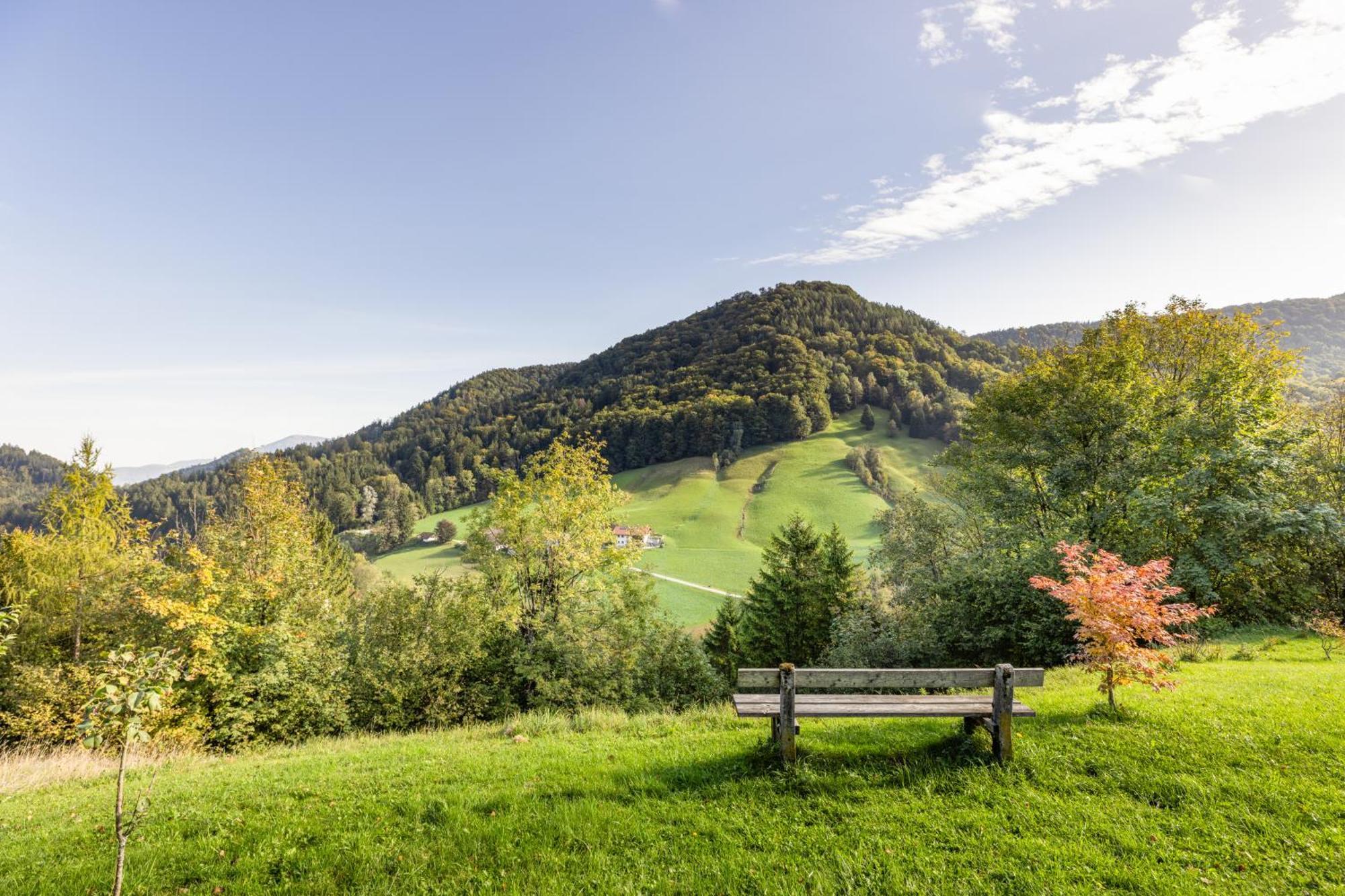 Ferienwohnung Alpenglueck Marktschellenberg Esterno foto
